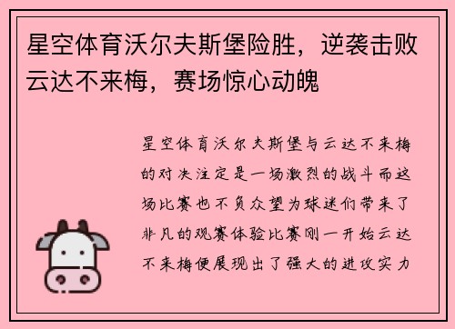 星空体育沃尔夫斯堡险胜，逆袭击败云达不来梅，赛场惊心动魄